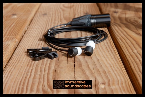 Earsight binaural pip - binaural,